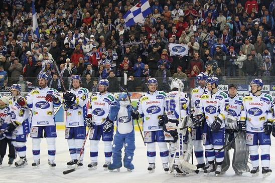 Fans Komety 002.jpg